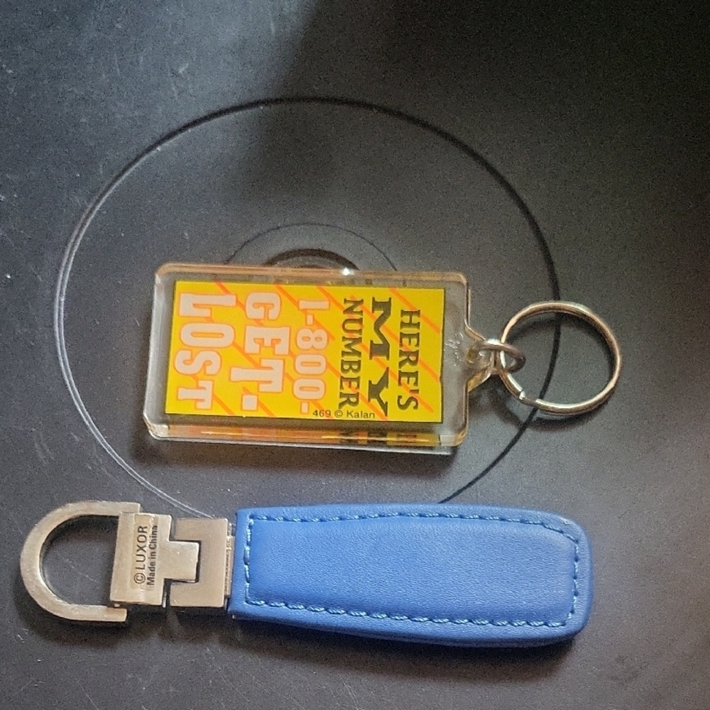 Blue and Yellow Keychain Set